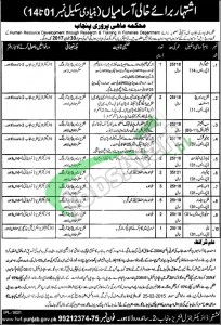 Fisheries Department Punjab Jobs