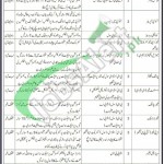 Frontier Works Organization Jobs