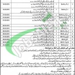 Govt Said Mitha Hospital Lahore Jobs