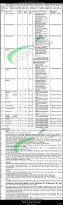Holy Family Hospital Rawalpindi Jobs
