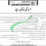 Finance Division Jobs