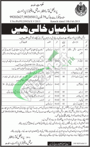 Social Welfare Department Sindh Jobs