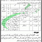 Health Department Sindh Jobs