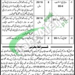 Livestock Department Punjab Jobs