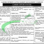 Cattle Market Management Company (CMMC) Lahore Jobs