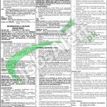 PPSC Jobs