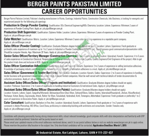 Berger Paints Jobs