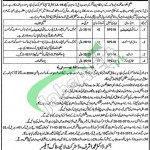 Livestock Punjab Jobs