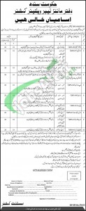 Mines Labour Welfare Organization Jobs