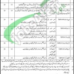 Mines Labour Welfare Organization Jobs