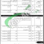 Ministry of Parliamentary Affairs Pakistan Jobs