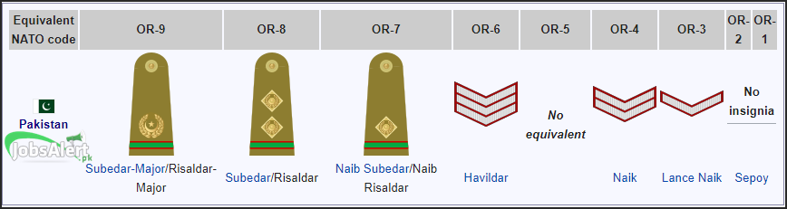 Pakistan Army Ranks and Badges, Salary / Pay Scale Information 2024 ...