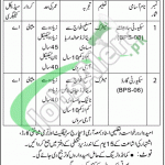 Northern Power Generation Company Limited Jobs