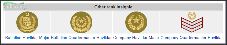 Pak Army Badges Rank with Orders