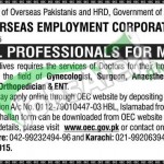 Overseas Employment Corporation Jobs