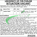 Punjab University Jobs