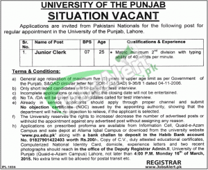 Punjab University Jobs