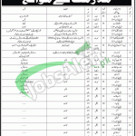 Pakistan Marine Academy Jobs