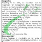 Power Information Technology Company Jobs