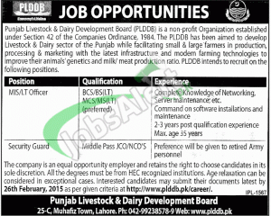 Punjab Livestock & Dairy Development Board Jobs