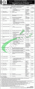 Ministry of Petroleum & Natural Resources Jobs