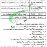 Jobs in Livestock Department Punjab Rawalpindi