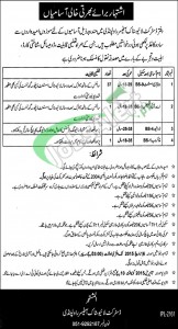 Jobs in Livestock Department Punjab Rawalpindi