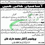 University of Veterinary & Animal Sciences Jobs