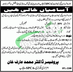 University of Veterinary & Animal Sciences Jobs