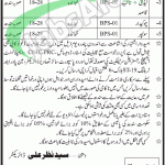 Directorate of Manpower & Training Department Sindh Jobs