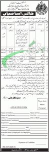 Directorate of Manpower & Training Department Sindh Jobs