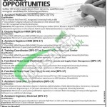 Sukkur IBA Jobs