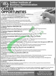 Sukkur IBA Jobs