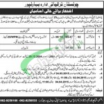 Cholistan Development Authority Bahawalpur Jobs