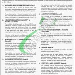 ICAP Pakistan Jobs