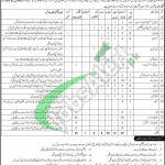 CMH Skardu Jobs