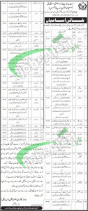 Sindh Employees Social Security Institution Karachi Jobs