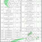 Sindh Employees Social Security Institution Karachi Jobs