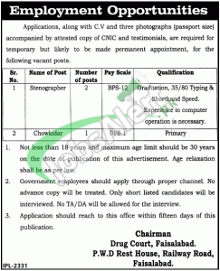 Drug Court Faisalabad Jobs
