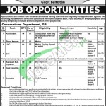 Govt Jobs in Gilgit Baltistan