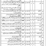 Sir Ganga Ram Hospital Lahore Jobs