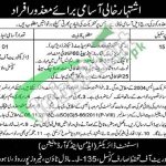 Directorate of Consumer Protection Council Punjab Jobs