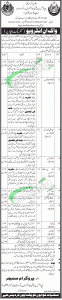 Hepatitis Prevention & Control Program Sindh Jobs