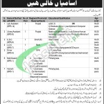 Establishment Division Jobs