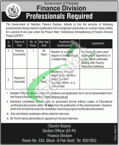 Finance Division Jobs