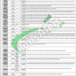 Jobs in Finance Division Central Directorate of National Savings