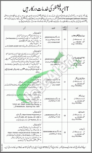 Public Sector Organization Jobs