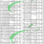 WAPDA Jobs