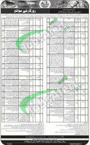 WAPDA Jobs