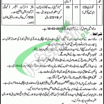 LG&CD Department Punjab Jobs 